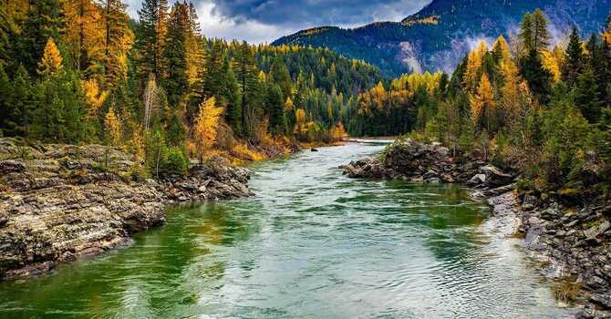 therapist experience