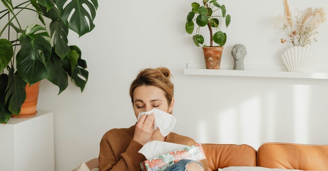 The Rise of Spring Allergies and Stress image